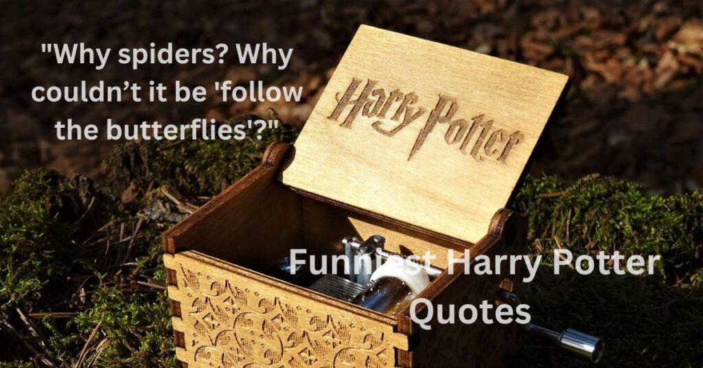 Funniest Harry Potter Quotes That Will Make You Laugh