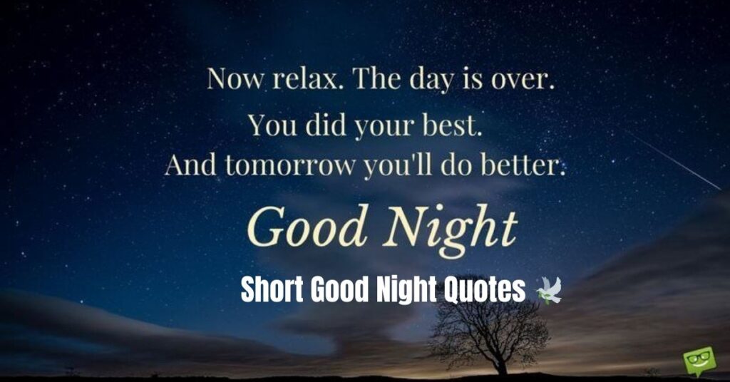 Short Good Night Quotes