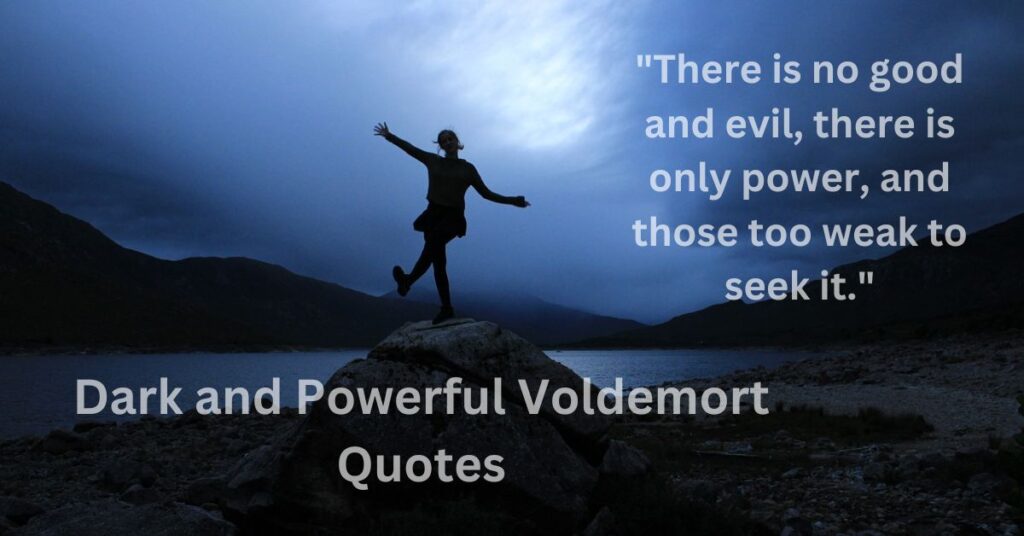 Dark and Powerful Voldemort Quotes