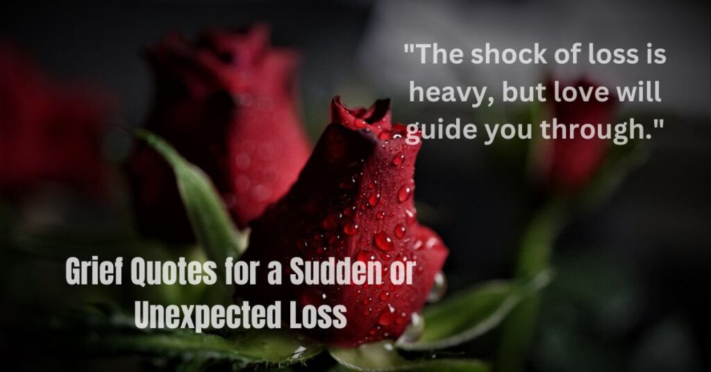 Grief Quotes for a Sudden or Unexpected Loss